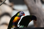 IMG_8731-small2